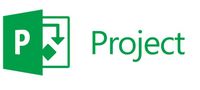Microsoft Project Server CAL, Pack OLP NL, License & Software Assurance, 1 user client access license, EN