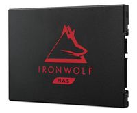 Seagate IronWolf 125